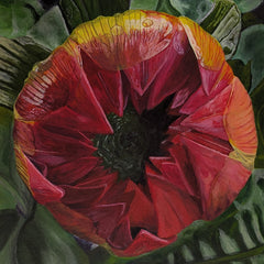 Rowley, Rick title: The Beauty Waiting to Unfold