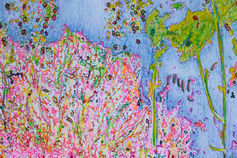 Rivers, Susan Title: Under the Sea