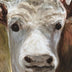Robinson, Ann  title: Big Bob