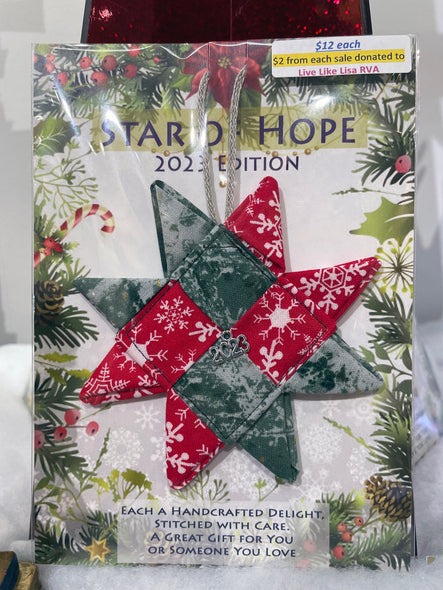 Ron Leone Title: Star of Hope 2023