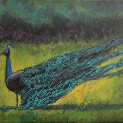 Rosemary Duda Title: Strutting Peacock