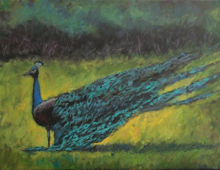 Rosemary Duda Title: Strutting Peacock