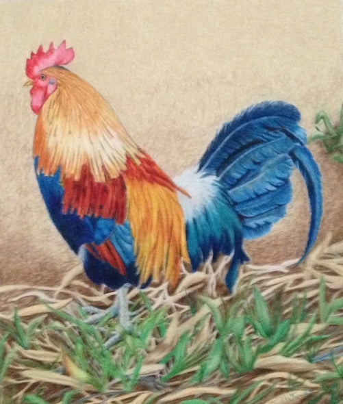 McKnight, Rosemary Title: Hawaiian Rooster