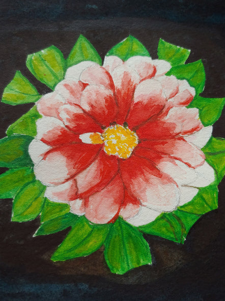 Sandra Verna Title: The Dahlia