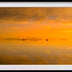Santosh, Venkat title: Ember Mirror