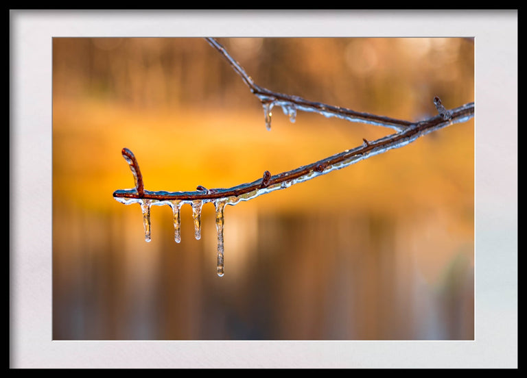 Santosh, Venkat Title: Frost Kiss