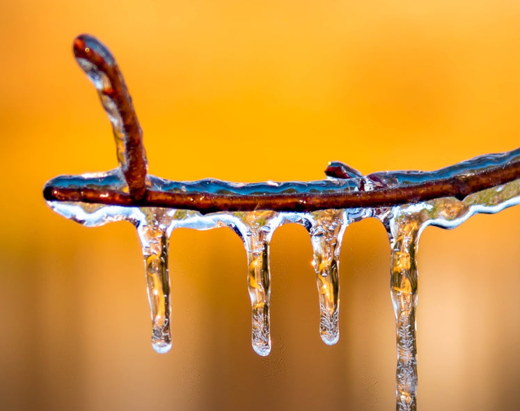 Santosh, Venkat Title: Frost Kiss