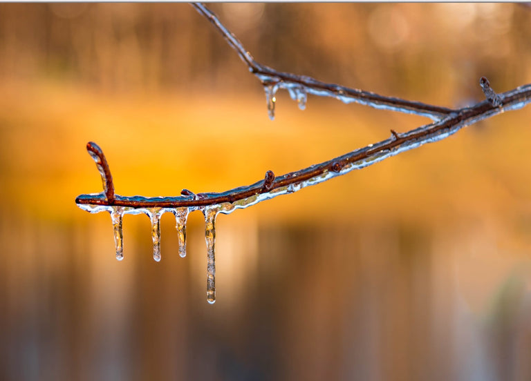 Santosh, Venkat Title: Frost Kiss