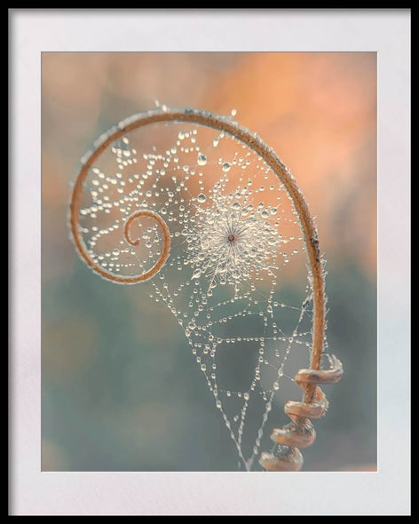 Santosh, Venkat Title: Golden Spiral