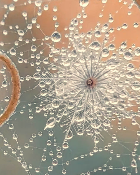 Santosh, Venkat Title: Golden Spiral