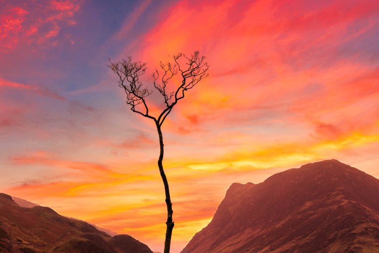 Santosh, Venkat Title: Lonely Sentinel at Buttermere
