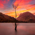 Santosh, Venkat Title: Lonely Sentinel at Buttermere