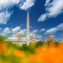 Santosh, Venkat title: Patriotic Vista