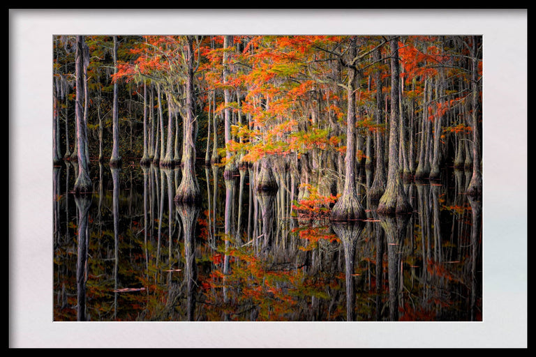 Santosh, Venkat Title: Rooted Reflections