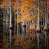 Santosh, Venkat Title: Rooted Reflections