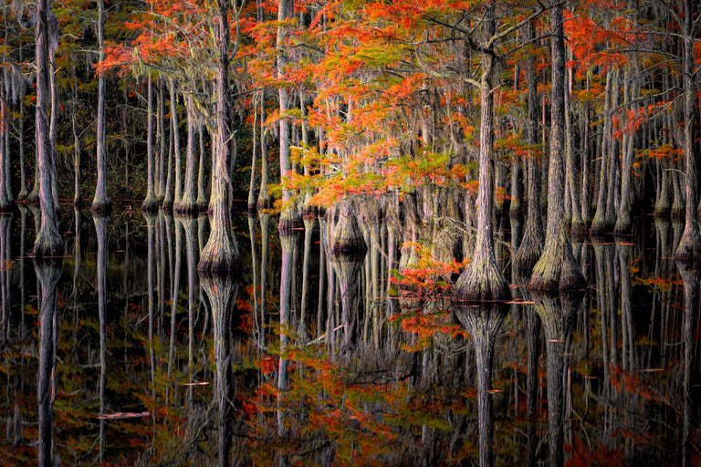 Santosh, Venkat Title: Rooted Reflections