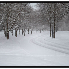 Santosh, Venkat Title: Winter Path