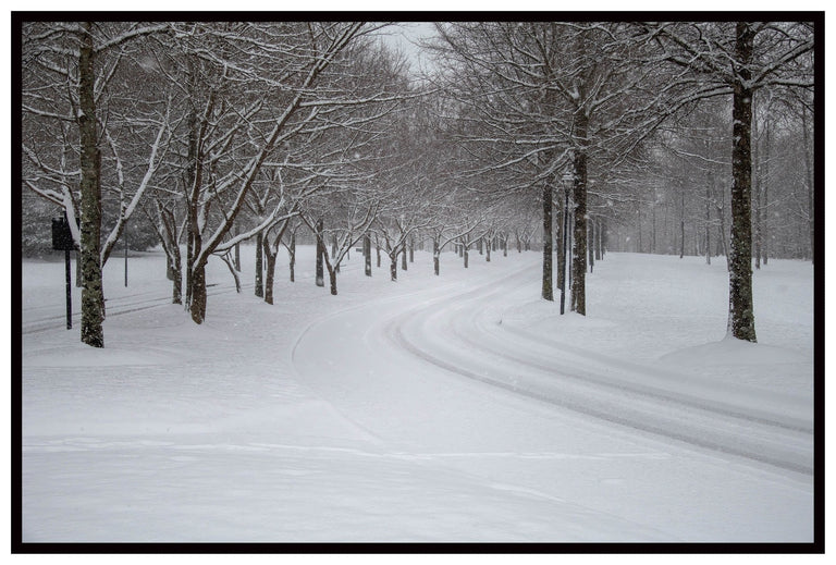 Santosh, Venkat Title: Winter Path