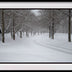 Santosh, Venkat Title: Winter Path