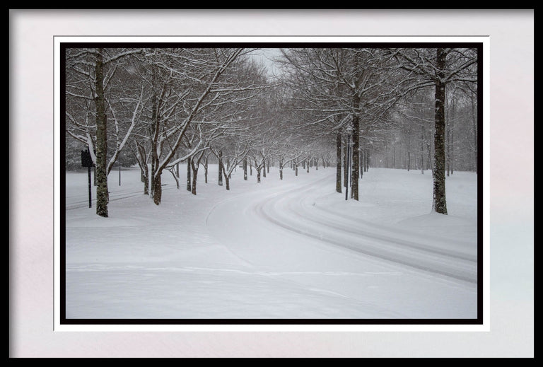 Santosh, Venkat Title: Winter Path