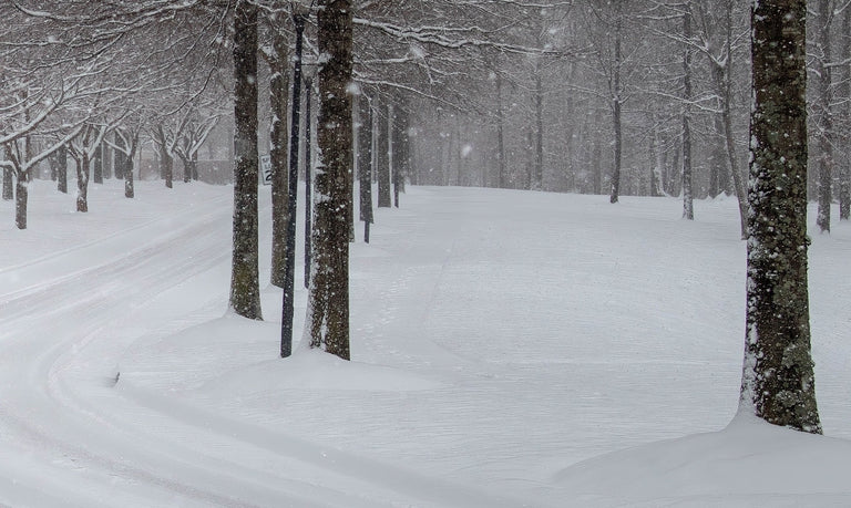 Santosh, Venkat Title: Winter Path