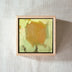Sarah Calandro Title: Backlit Yellow Flower