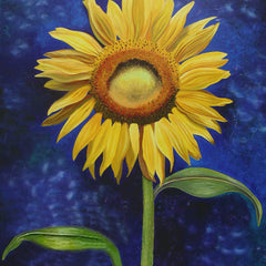 Nancy Jacey Title: Sauvignon Sunflower