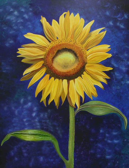 Nancy Jacey Title: Sauvignon Sunflower