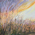 Sawan, Dale Title: Sunset Solace