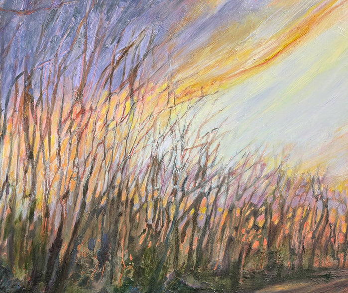 Sawan, Dale Title: Sunset Solace