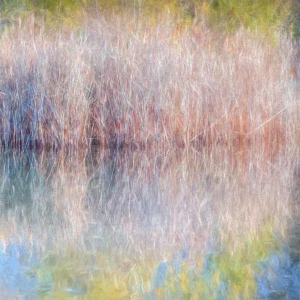 Schmiel, Linda Title: Electric Stillness