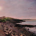 Scott-Auger, Diana title: Beachcombing at Low Tide