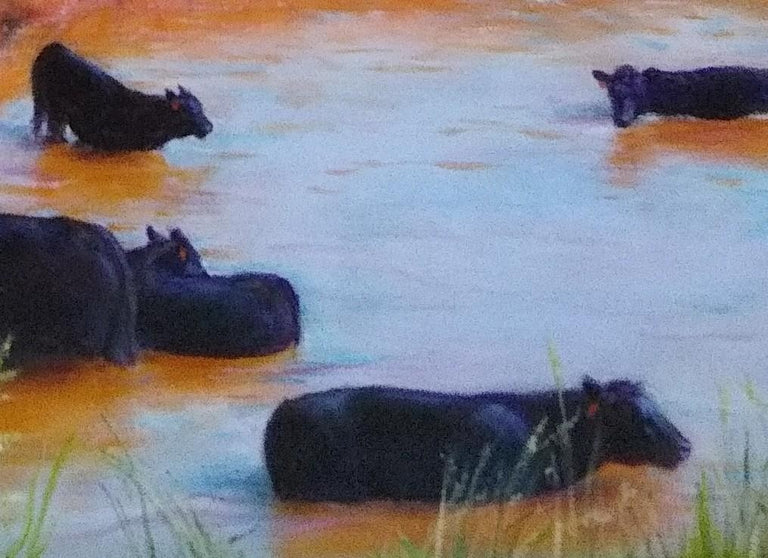 Scott-Auger, Diana Title: How Bovines Beat the Summer Heat