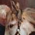 Scott-Auger, Diana  title: The Horse Whisperer