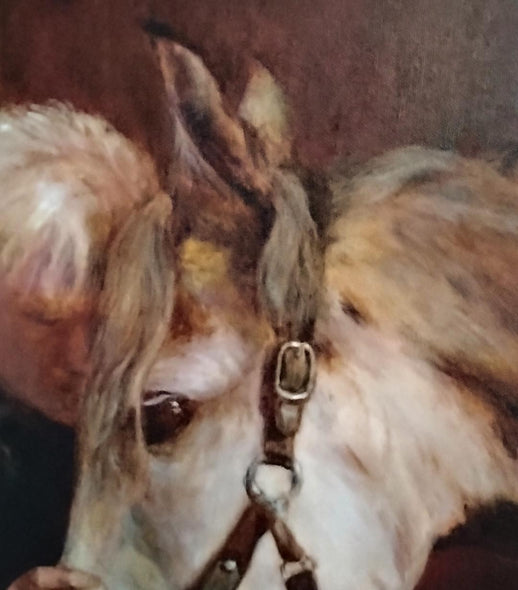 Scott-Auger, Diana  title: The Horse Whisperer