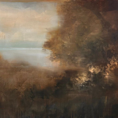 Geraldo Netto Title: Discover