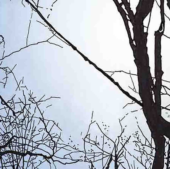 Seals, N Blake Title: Grayson Highlands III