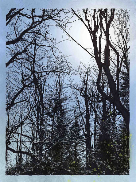 Seals, N Blake Title: Grayson Highlands III