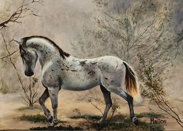 Sharon Melton Title: I'm Too Sexy for My Coat