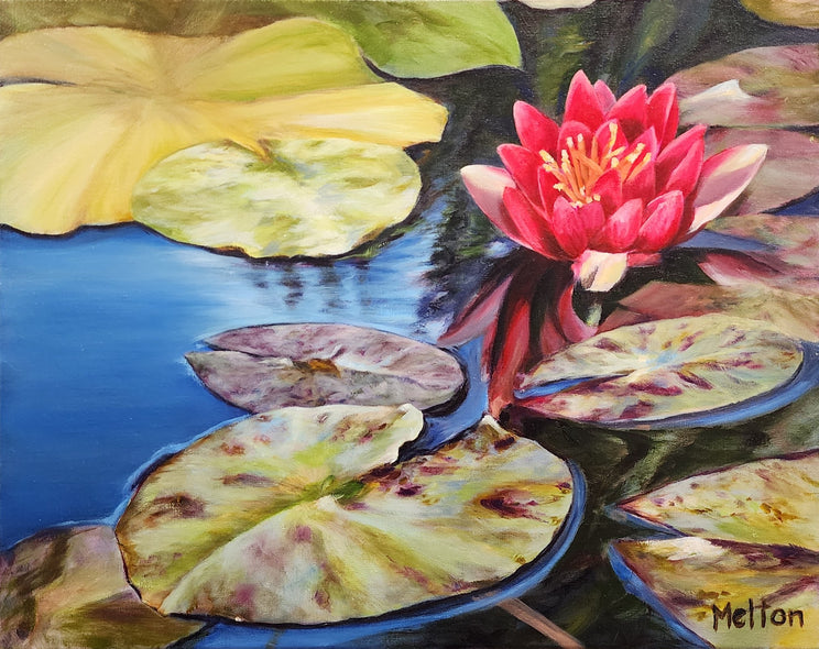 Sharon Melton Title: Lily On Pond
