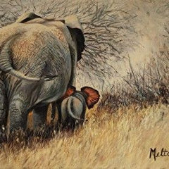 Sharon Melton Title: Mom And Me