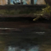 Shaw, Linda title: Yellow Train At Great Shiplock Park