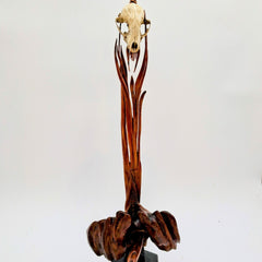 Shepard, Frank Title: Awesome Opossum