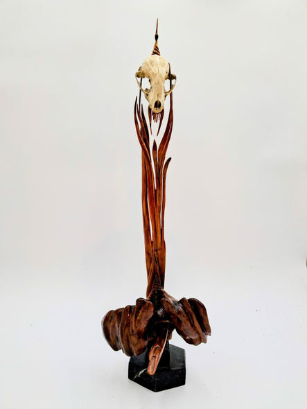 Shepard, Frank Title: Awesome Opossum