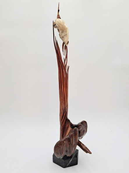 Shepard, Frank Title: Awesome Opossum