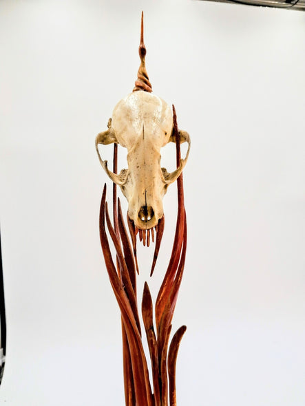 Shepard, Frank Title: Awesome Opossum