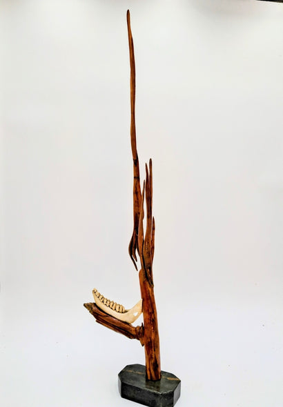 Shepard, Frank Title: Deerest One