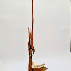 Shepard, Frank Title: Deerest One