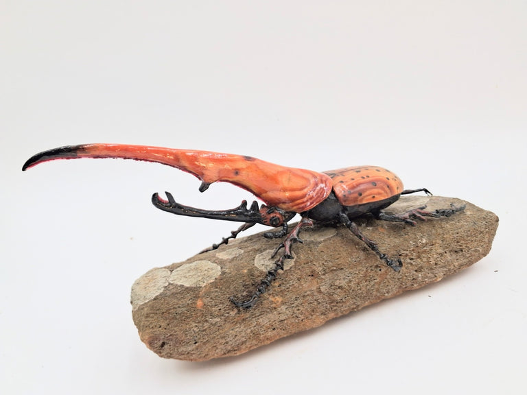 Shepard, Frank title: Rhino Beetle