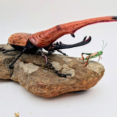 Shepard, Frank title: "Jake" and the Rhino Beetle
